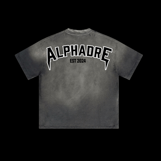 Alphadre Back Print Oversized T-Shirt Black/Grey
