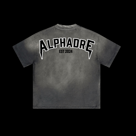 🎁 Alphadre Back Print Oversized Luxury T-Shirt Colour grey (100% off)