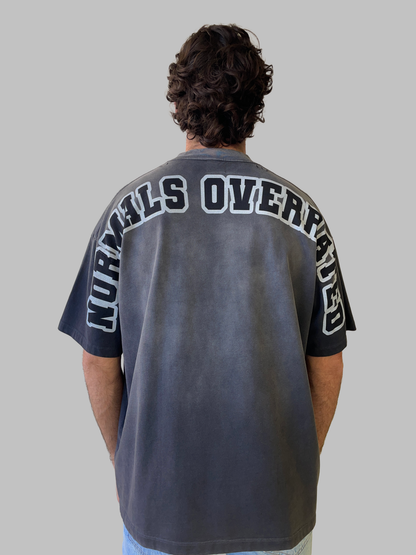 Alphadre Normals Overrated Oversized Luxury T-Shirt Colour grey