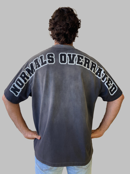 Alphadre Normals Overrated Oversized Luxury T-Shirt Colour grey