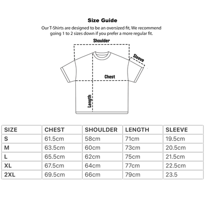 Alphadre Take Aim Oversized Luxury T-Shirt Colour grey