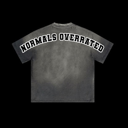 Alphadre Normals Overrated Oversized T-Shirt Black/Grey