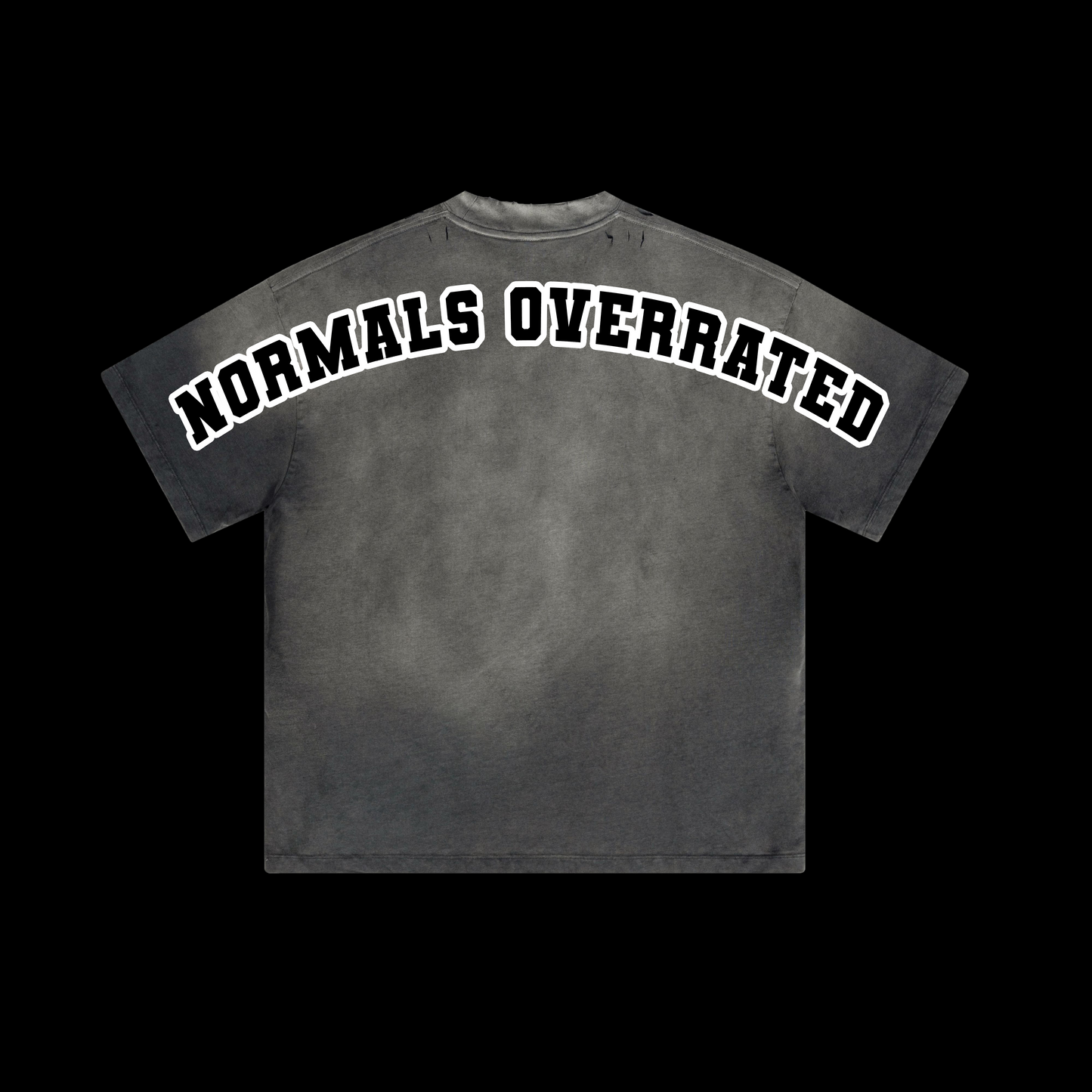 🎁 Alphadre Normals Overrated Oversized Luxury T-Shirt Colour grey (100% off)