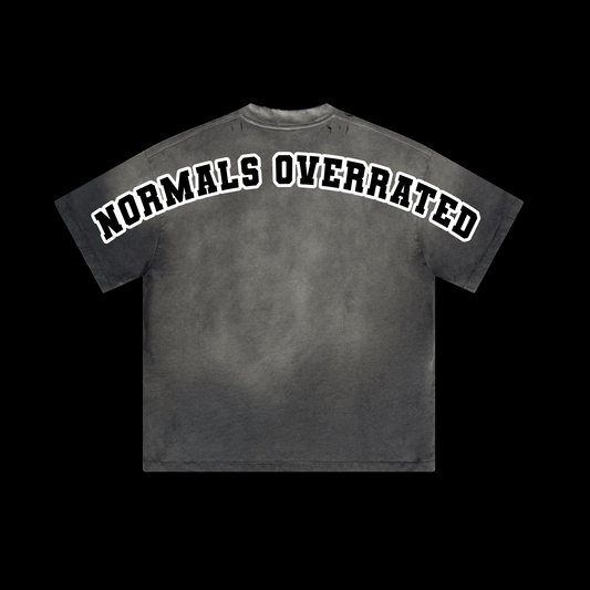 🎁 Alphadre Normals Overrated Oversized Luxury T-Shirt Colour grey (100% off)